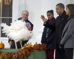 Б.Обама помиловал Попкорна и Карамель в честь дня Благодарения