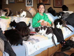1100 кошек и одна женщина