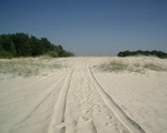 Долгая дорога в дюнах.
