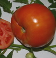 Помидоры: фрукты или овощи