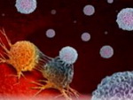 Иммунотерапия в онкологии: как она работает и кому помогает