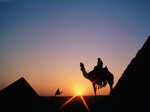 Горящие туры в Египет: горячий отдых по отличной цене!