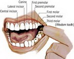 Косметическая стоматология. Отбеливание и реставрация зубов.