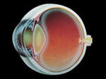 Современная хирургия катаракты